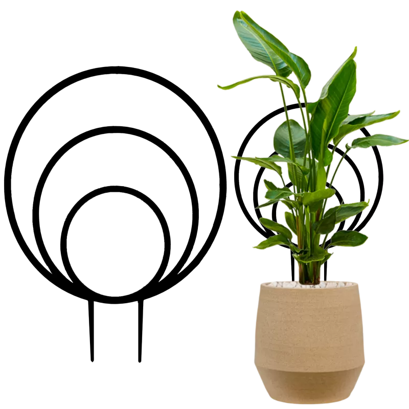 PODPORA podpórka do roślin kwiatów 25 cm obręcz 