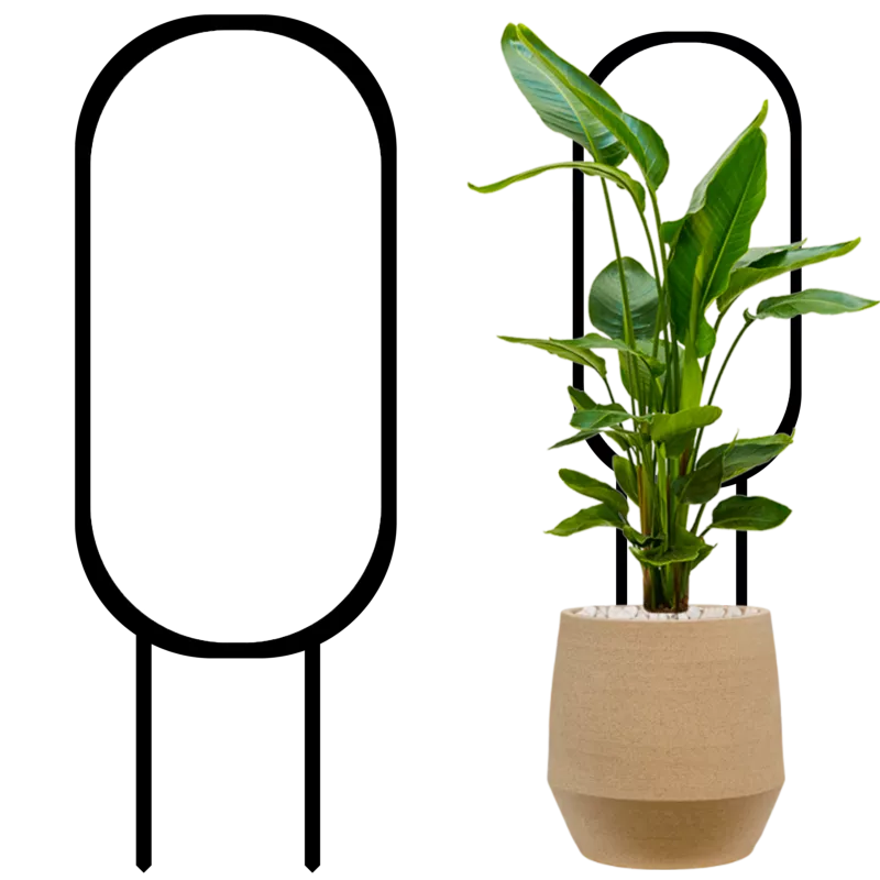 PODPORA drabinka do roślin kwiatów 28cm HOYA HOJA 