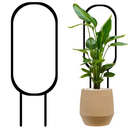 PODPORA drabinka do roślin kwiatów 28cm HOYA HOJA 