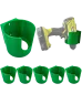 Zielony