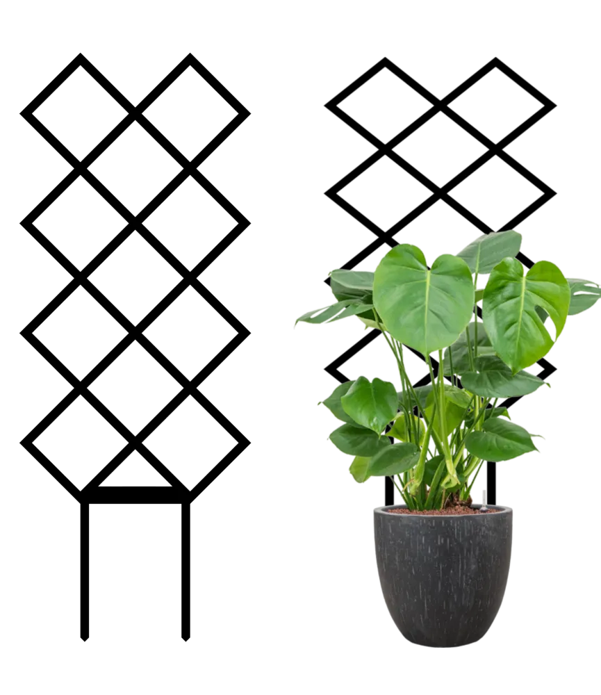 PODPÓRKA DO MONSTERY WYTRZYMAŁA PERGOLA DRABINKA ROŚLIN PNĄCZY DOMOWYCH 34CM 