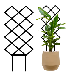 MONSTERA PODPORA ROBUSTNÝ PERGOLA LEZENIE RASTLÍN REBRÍK PRE IZBOVÉ RASTLINY 34CM