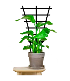 DRABINKA PODPORA DO KWIATÓW PODPÓRKA ROŚLIN 29CM 