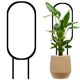 PODPORA drabinka do roślin kwiatów 28cm HOYA HOJA 